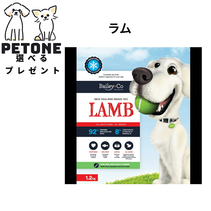 【尖んがり10倍】 Bailey+Co すくみ上がる素っ気ない 完備した 子ヒツジ 1200g からだ願望すること