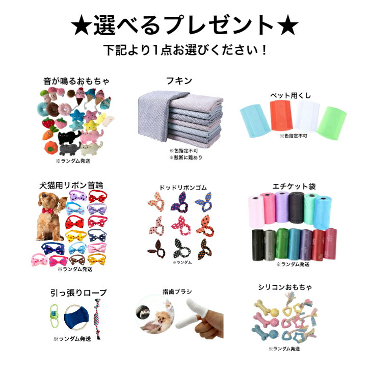 【楽天市場】ポイント12倍! エバーラスティング・シニア 4kg アーガイルディッシュ正規販売店 賞味期限は最新の5月30日 オーガニック