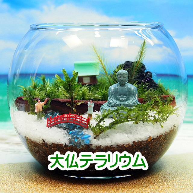 楽天市場】苔神社 金魚鉢 苔テラリウム 手作りキット一式 観葉