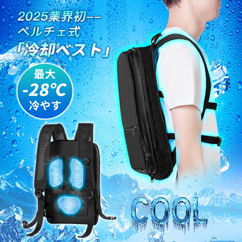 福袋 公式 楽天市場】ペルチェベスト 冷却ベスト 冷感ベスト 30000mAh PD 暑さ対策・冷却グッズ