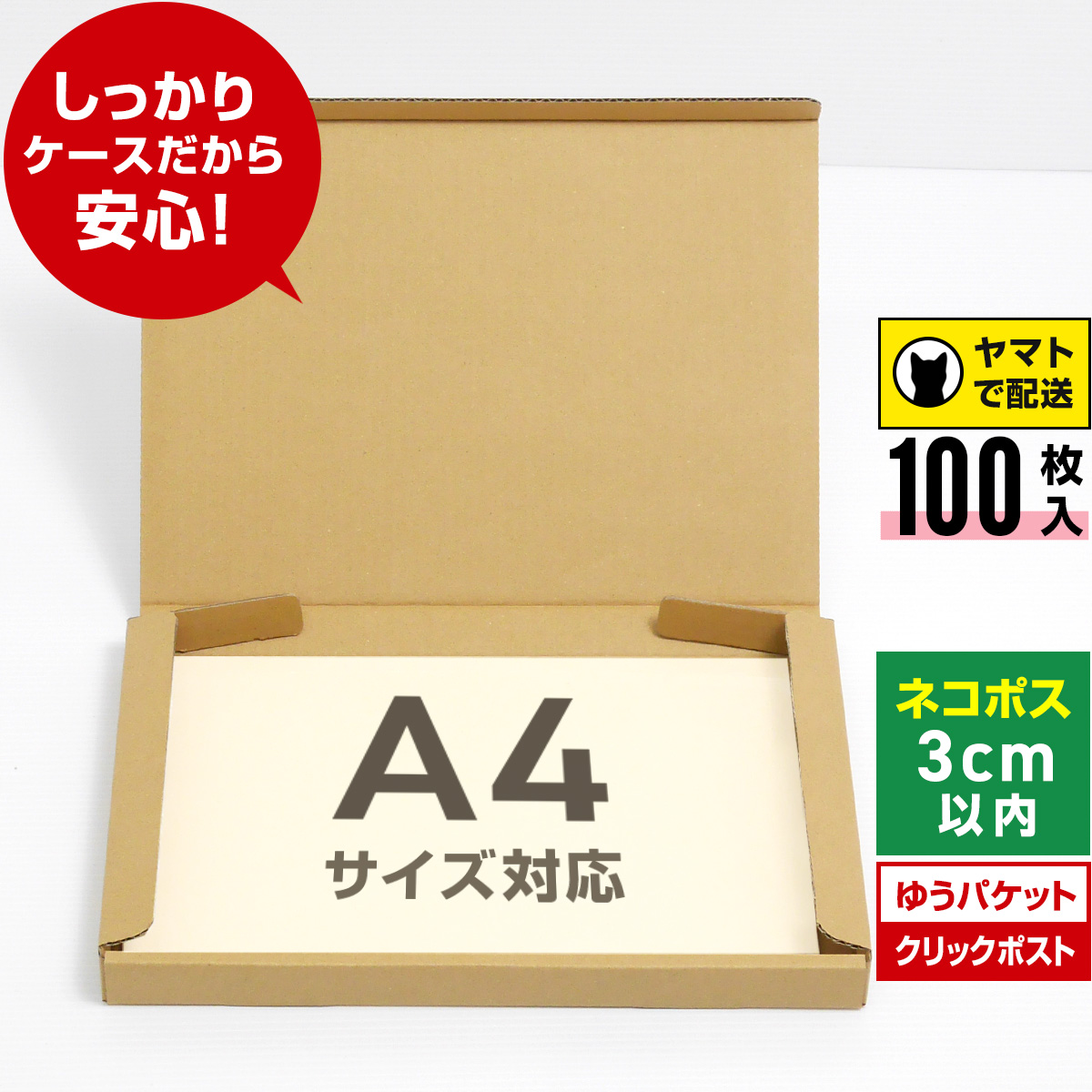 在庫残りわずか ヒカゲノカズラ‪☆A4ネコポスいっぱい‼3メートル以上‬ 