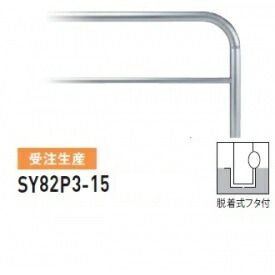 人間宅送りとどける不可 帝金 SY82P3-15 バリ鉄道車両横型 判定基準 ステンレス鋼印字機 W1500×H800 差しわたし60.5粍 脱着式フタ付