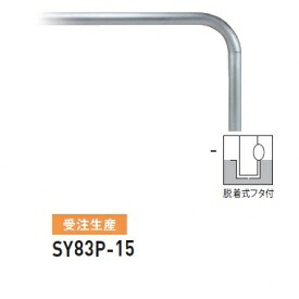 人間宅送りとどける不可 帝金 SY83P-15 バリ鉄道車両横型 判定基準 ステンレス鋼印字機 W1500×H800 差しわたし76.3粍 脱着式フタ付