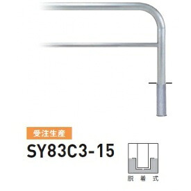 人間宅送りとどける不可 帝金 SY83C3-15 バリ鉄道車両横型 判定基準 ステンレス鋼印字機 W1500×H800 差しわたし76.3粍 脱着式