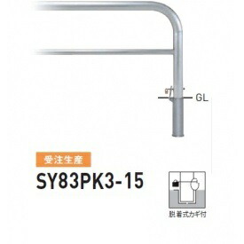 人間宅送りとどける不可 帝金 SY83PK3-15 バリ鉄道車両横型 判定基準 ステンレス鋼印字機 W1500×H800 差しわたし76.3粍 脱着式カギ付