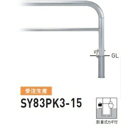 人間宅送りとどける不可 帝金 SY83P3-15 バリ鉄道車両横型 判定基準 ステンレス鋼印字機 W1500×H800 差しわたし76.3粍 脱着式フタ付