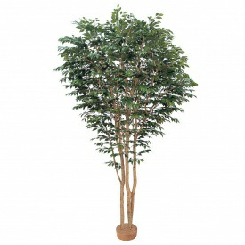 『人工植栽』 鷹見せ物 大型人工樹 ベンジャミン 鉢無 3.0m GD-100