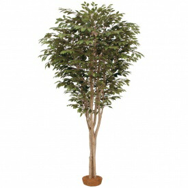 『人工植栽』　タカショー 大型人工樹　ベンジャミン 鉢無　2.2m　GD-163