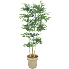 『人工植栽』 タカショー グリーンデコ鉢付 トネリコ 3本立 1.8m GD-156|エクステリアのプロショップ キロ