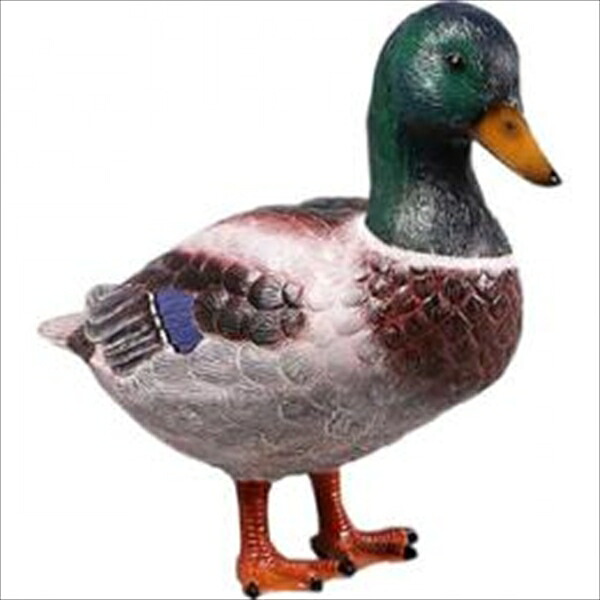 FRP マガモ / Mallard Duck 24 fr150003 『動物園オブジェ アニマルオブジェ 店舗・ホテル向け』|エクステリアのプロショップ キロ