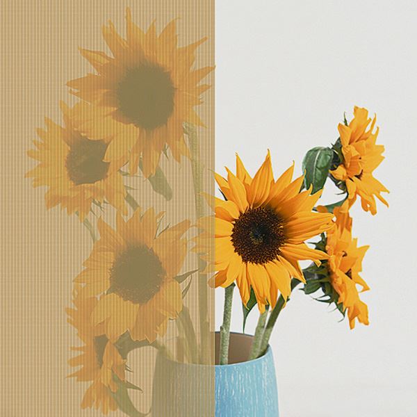 激安単価で Lixil スタイルシェード 基本セット テラス桁付 手すり固定タイプ １枚仕様 テラス間口 1 0間 本体 H2110mm W1500mm 133 シックベージュ シックベージュ エクステリアのプロショップ キロ 無料長期保証 Blinken No