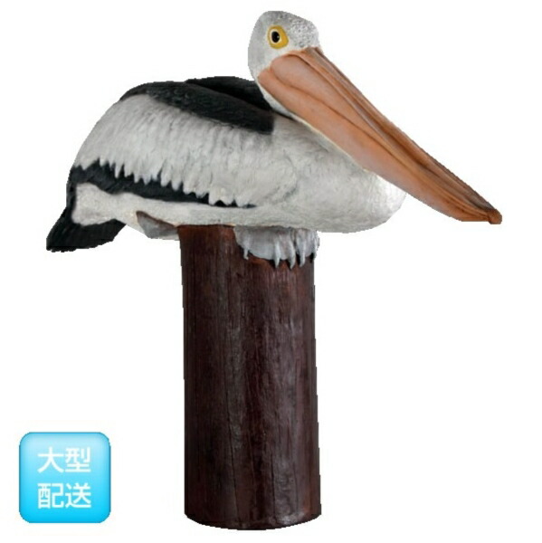 FRP 郵便うけの上の伽藍鳥 / Pelican on Post fr080119 『毛の荒物園オブジェ アニマルオブジェ バス発着場・でき事向け』