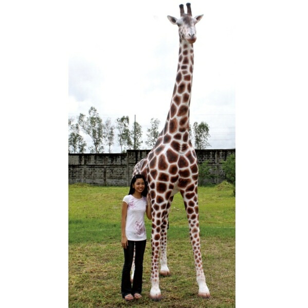 FRP 親麒麟/Giraffe 12Ft. Fr090070 『毛の荒物園オブジェ アニマルオブジェ バス発着場・出来事向け』