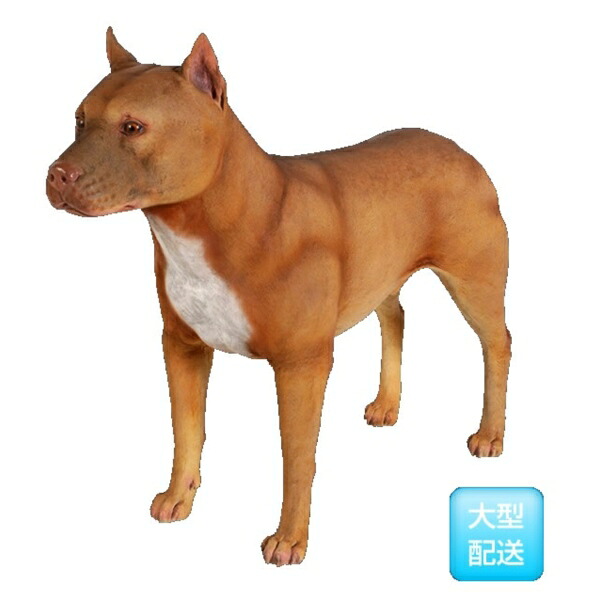 FRP ピットブル / PitBull fr130009 『犬オブジェ アニマルオブジェ 店舗・イベント向け』｜エクステリアのプロショップ　キロ