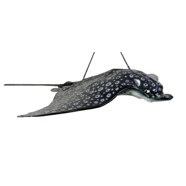 FRP マダラトビエイ / Spotted Eagle Ray fr100060 『海洋博物館オブジェ アニマルオブジェ バス発着場・でき事向け』 エクステリア・ガーデンファニチャー-ガーデンオーナメント・置物