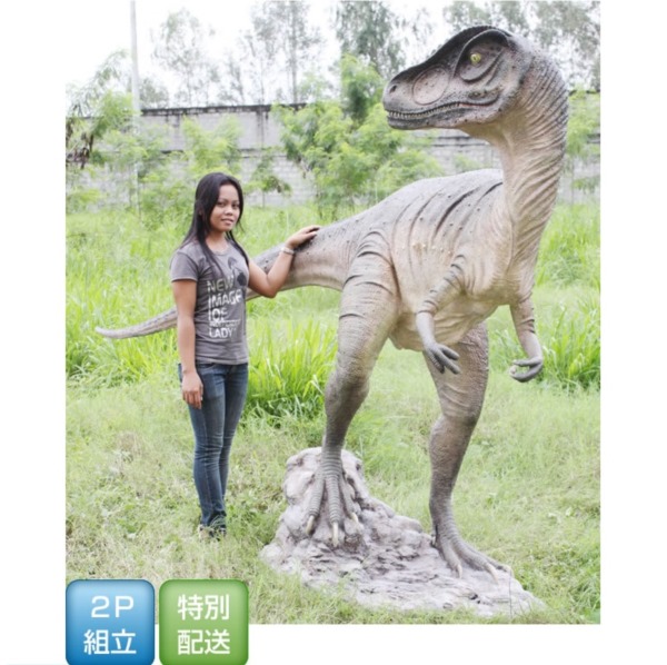 FRP 振り向くアロサウルス / Allosaurus fr090071 『恐竜オブジェ 博物館オブジェ 店舗・イベント向け』