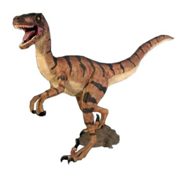 FRP ヴェロキラプトル 恐竜オブジェ fr110015 Velociraptor FRP ヴェロキラプトル 恐竜オブジェ
