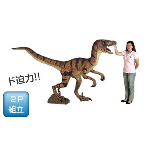 FRPヴェロキラプトル/Velociraptor『恐竜オブジェ博物館オブジェ店舗・イベント向け』