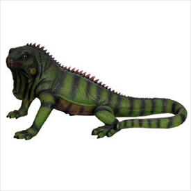 FRP イグアナ（大） / Iguana fr120080 『ハ虫類オブジェ 毛の荒物オブジェ バス発着場・出来事向け』
