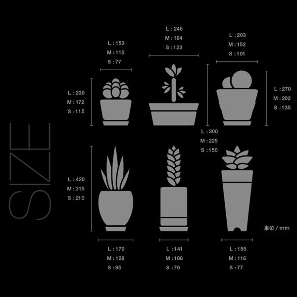 第1位獲得 東京ステッカー 高級ウォールステッカー 植物 多肉植物 Lサイズ Ts0024 Fl ブラック おしゃれ かわいい 壁 シール 東京ステッカー 多肉植物の特徴をそのままに よりキュートな形にデフォルメ 人気再入荷