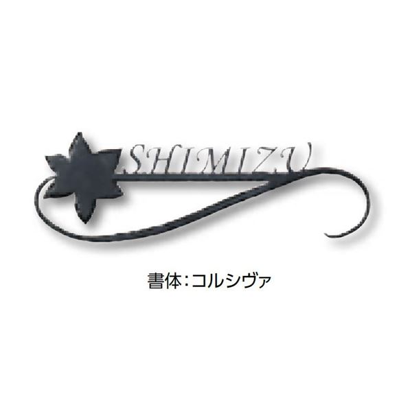 タカショー De-signシリーズ ロートアイアンアート タイプ2 12V DIRD-22 『表札 サイン 戸建』|エクステリアのプロショップ キロ