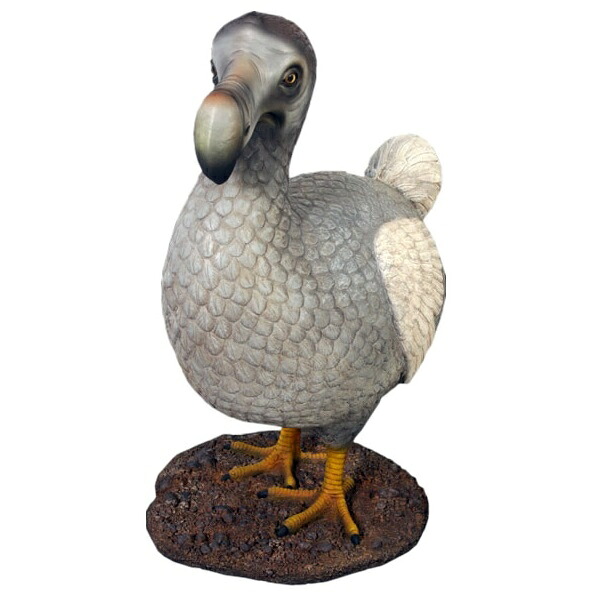 ＦＲＰ ドードー鳥 / Dodo Bird fr120007 『動物園オブジェ アニマルオブジェ 店舗・イベント向け』