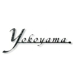オンリーワン フォレストヒルズネームプレート クールテイスト レーザーカットタイプ NA1-S40 Lサイズ 『表札 サイン 戸建』
