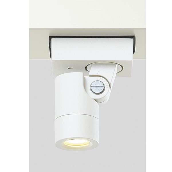 リクシル 12V 美彩 ダウンスポットライト DNSP-G1型 45&deg; LED 8 VLL14 JW 『ローボルトライト』 『エクステリア照明 ライト』 ホワイト｜エクステリアのキロ支店