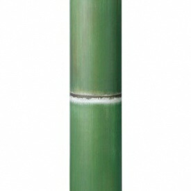 『人工植栽』　タカショー グリーンデコ和風　アル銘竹 孟宗若竹（装飾用）　径60・4m　#62987900｜エクステリアのキロ支店