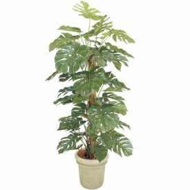 『人工植栽』　タカショー グリーンデコ鉢付　モンステラ　1.8m　GD-146
