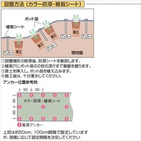 タカショーカラー防草・植栽シート100m巻TBB-100Gコード:50686600グリーン