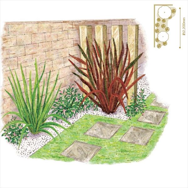 楽天市場 オンリーワン 目的で選ぶ 植栽セット イージー ニューサイラン お手入れ簡単 Un6 Set03 エクステリアのキロ楽天市場支店