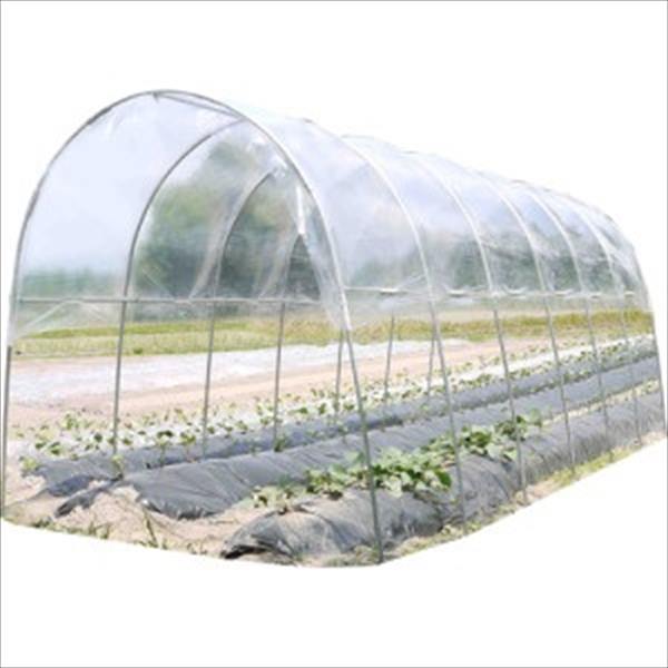 家庭菜園におススメのパイプ式ビニールハウスです 送料無料 南栄工業 花 ガーデン Diy 南榮工業 ガーデニング 農業 南栄工業 エクステリアのキロ支店 ビニールハウス 南榮工業 雨よけハウス 埋め込み式 A 25 ビニールハウス