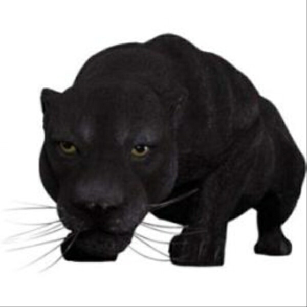 FRP 黒豹の跳躍 / Black Panther fr090011 『動物園オブジェ アニマルオブジェ 店舗・イベント向け』