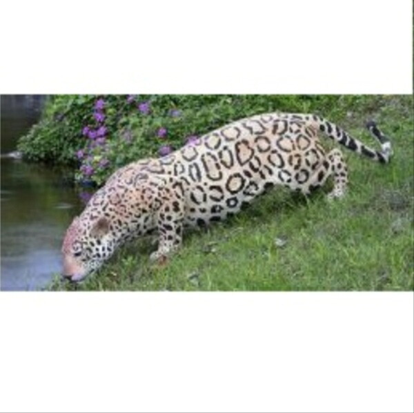 FRP 水辺のジャガー / Jaguar fr080110 『動物園オブジェ アニマルオブジェ 店舗・イベント向け』|エクステリアのキロ支店