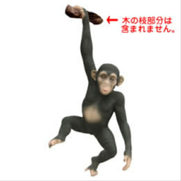 楽天市場】FRP ぶらさがるチンパンジー / Hanging Chimpanzee