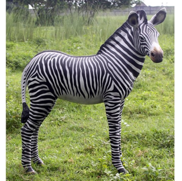 FRP シマウマの赤ちゃん / ZeBra Foal fr110099 『動物園オブジェ アニマルオブジェ 店舗・イベント向け』|エクステリアのキロ支店