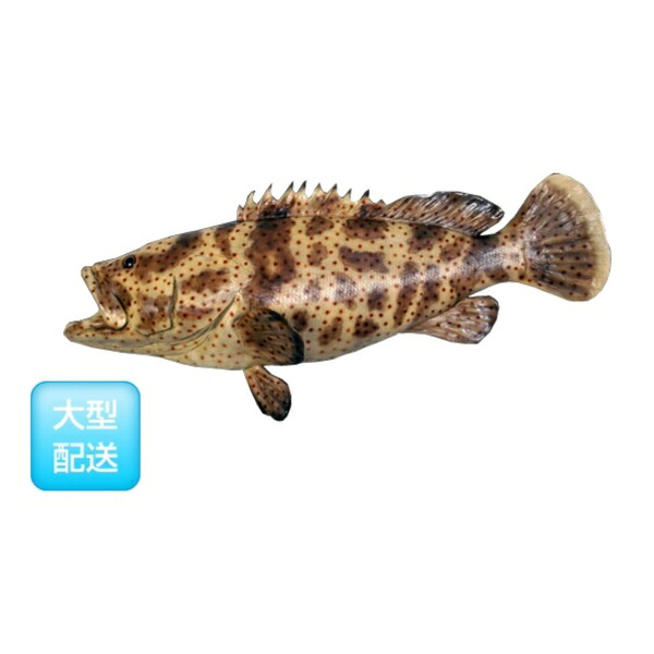 FRP ヤイトハタ / Estuary Cod fr120050 『水族館オブジェ アニマルオブジェ 店舗・イベント向け』