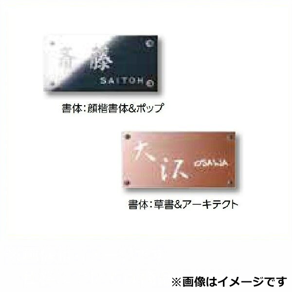 タカショー De-signシリーズ De-sign メタル メタル 12V DSK-05 ステンレス鏡面 『表札 サイン 戸建』