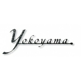 オンリーワン フォレストヒルズネームプレート クールテイスト レーザーカットタイプ NA1-S40 Lサイズ 『表札 サイン 戸建』 23,240円