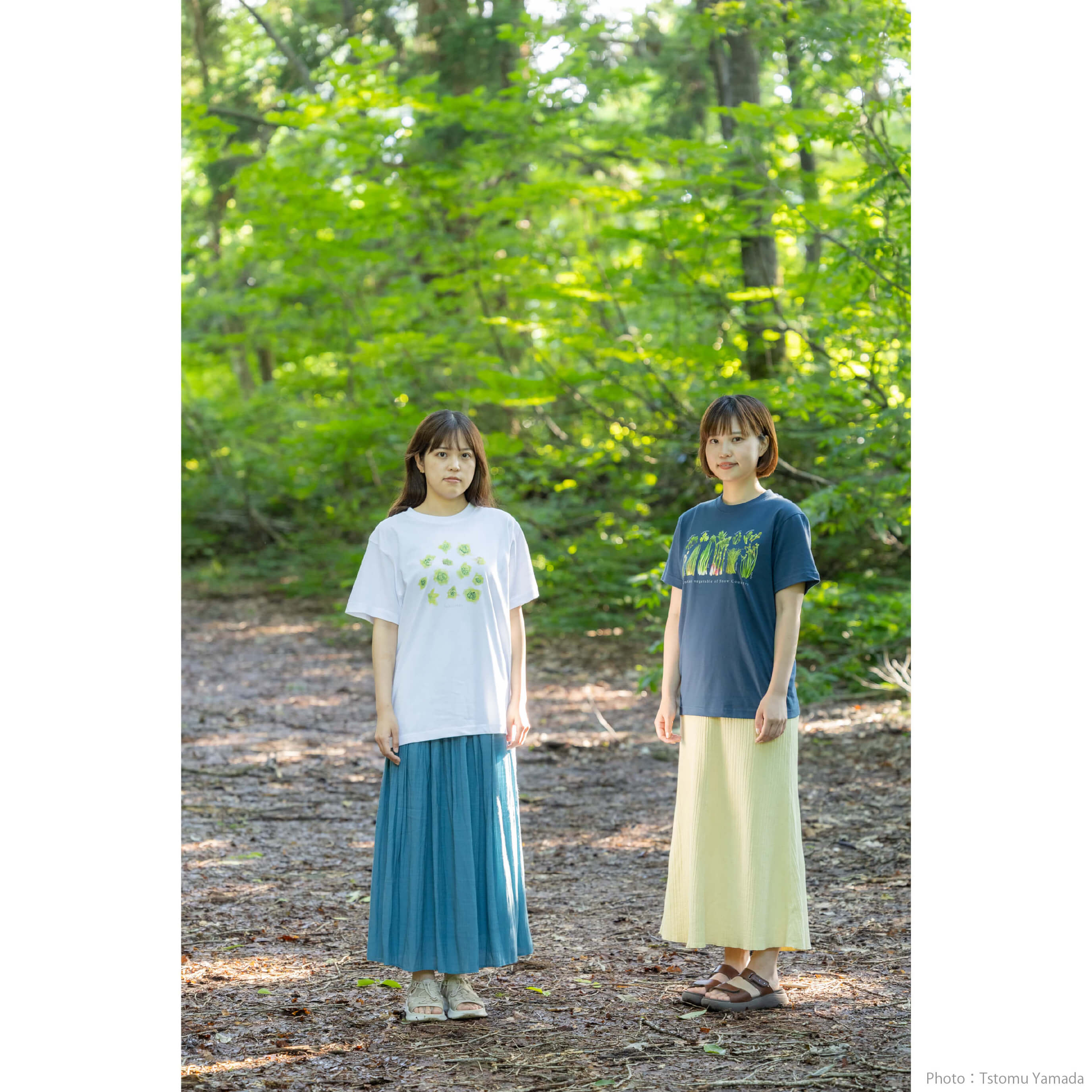山菜図鑑Tシャツ 】 山菜 ふきのとう こごみ こしあぶら わらび