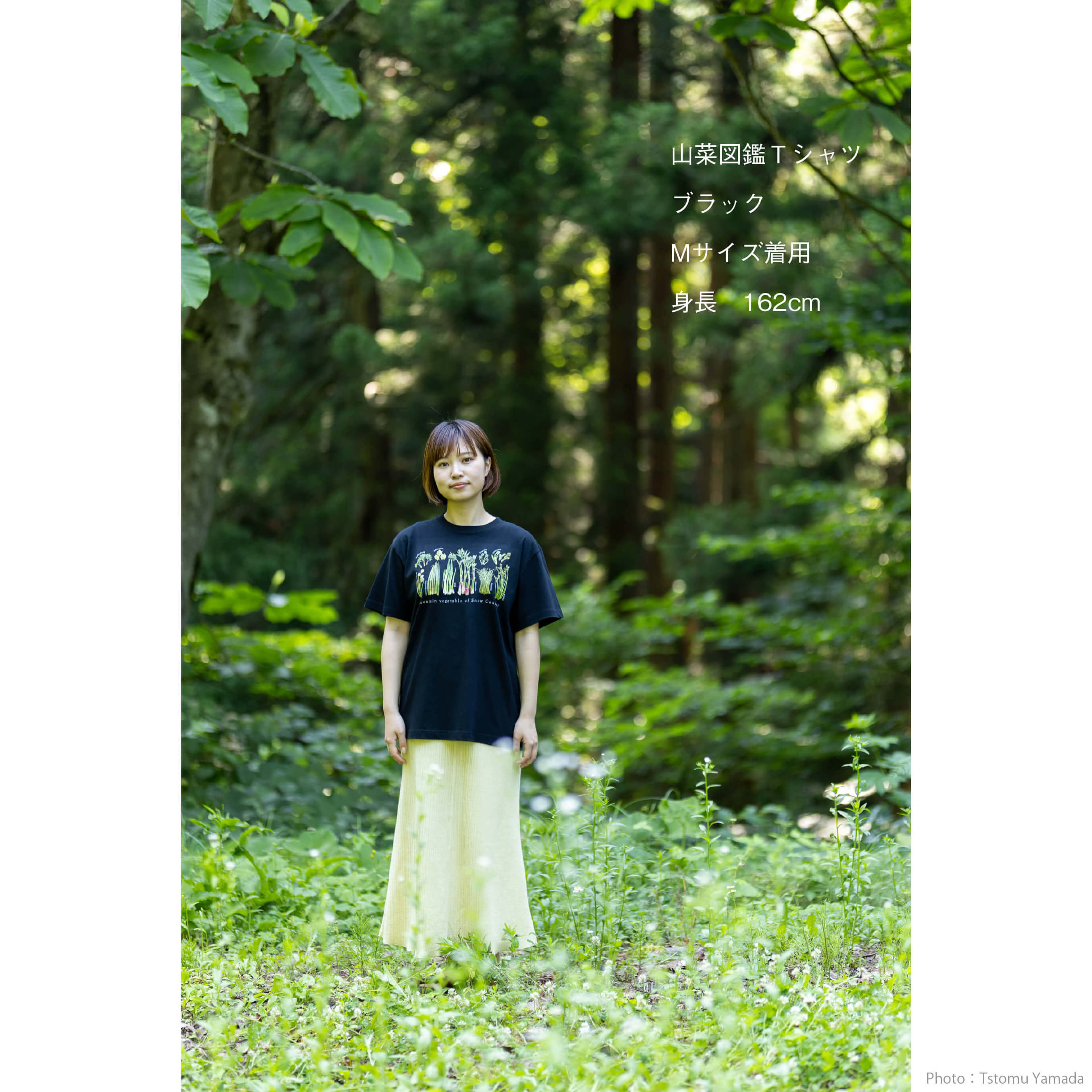 山菜図鑑Tシャツ 】 山菜 ふきのとう こごみ こしあぶら わらび