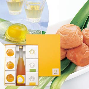 【マラソン期間限定5～10％OFFクーポン配布中】梅干し ギフト 【 梅干・ジュース・ゼリーセット 梅干×3個・南高梅ドリンク495ml・梅千家3個 化粧箱 塩分 10% 】 梅干 紀州 南高梅 お歳暮 はちみつ 紀州南高梅 和歌山 国産 ジュース おやつ 高級 ゼリー 贈答 五代庵