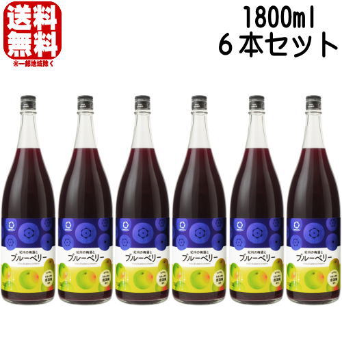 紀州の梅酒とブルーベリー 12度 1800ml 6本セット 紀州のブルーベリー梅酒 梅酒 紀州 紀州梅酒 カクテル梅酒 中野BC 和歌山県 ギフト プレゼント｜紀州いちばん屋店