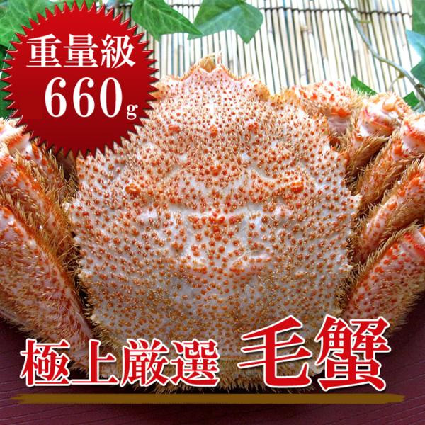 楽天市場 ボイル毛がに660g 北海道産巨大毛蟹 このケガニ安いですが訳ありではありません 冷凍毛ガニ 蟹味噌が最高のカニ 三大蟹の1つのけがに 送料無料 麺本舗吉粋 楽天支店