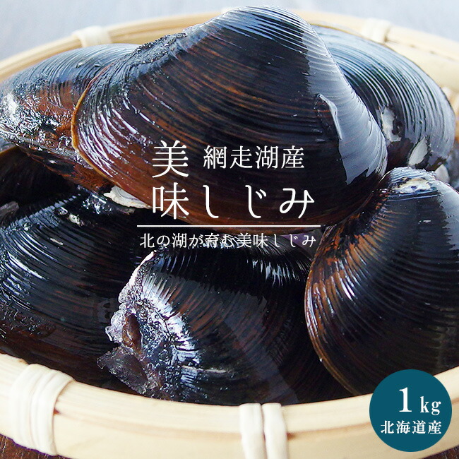 うさべ　北海道石2点おまとめ　390g、97g 楽天市場】北海道産 黒北寄貝 小サイズ10個（生ほっき 送料無料