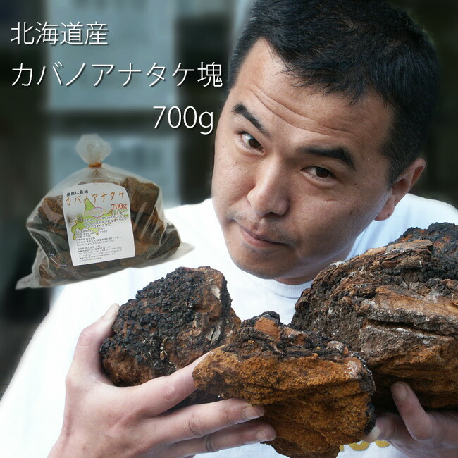 楽天市場】カバノアナタケ茶 塊≪原体≫300g 北海道産チャーガ茶100