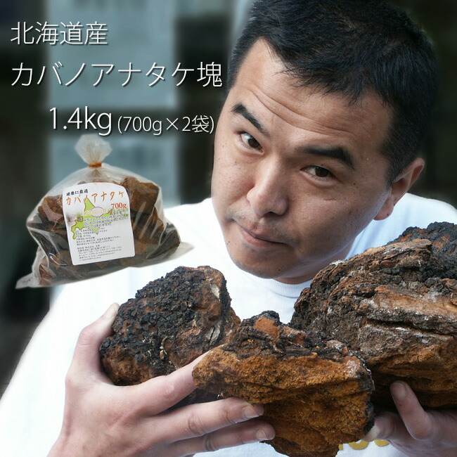 楽天市場 カバノアナタケ茶塊 原体 1 4kg 700g 2袋セット お得用 北海道産チャーガ茶100 かばのあなたけ茶 送料無料 健康茶 樺孔茸茶 キノコジュース キノコ茶 チャーガティ 麺本舗吉粋 楽天支店