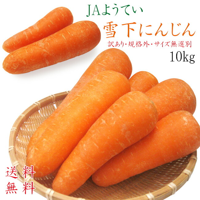 楽天市場】津南産 雪下にんじん 8kg 金子農園 産地直送 送料無料【新潟