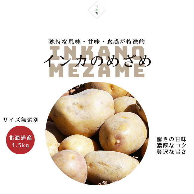 1284円 最大79%OFFクーポン 北海道 ジャガイモ インカのめざめ S-Lサイズ 5kg前後 じゃがいも 北海道産 インカの目覚め 産地直送 野菜 いんかのめざめ 1284円 最大79%OFFクーポン 北海道 ジャガイモ インカのめざめ S-Lサイズ 5kg前後 じゃがいも 北海道産 インカの目覚め 産地直送 野菜 いんかのめざめ
